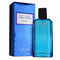 Sandora Collection Perfumes for Men - True Blue Made in USA (100ml)